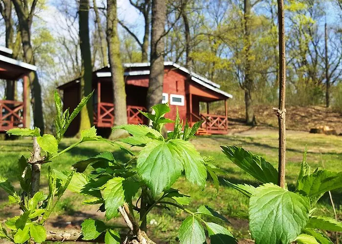 Hotel apartamentowy Pałac Zegrzyński Zegrze